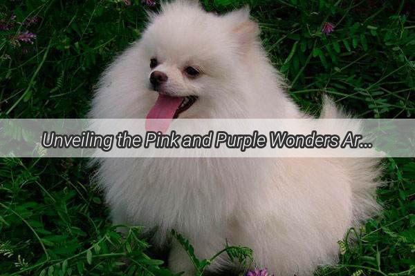 Unveiling the Pink and Purple Wonders Are There Pink and Purple Dog Vaccines